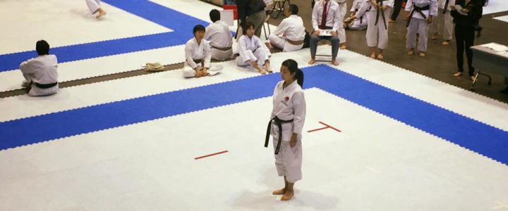 JKA World Karate-do Championships Tournament, Funakoshi Gichin World Cup